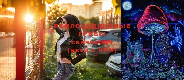 PSILOCYBIN Абинск