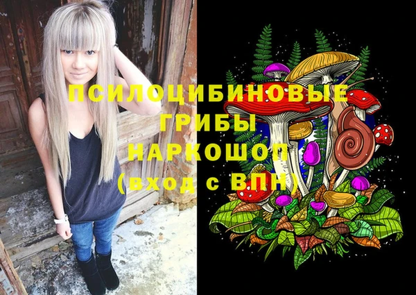 кокс Алексин