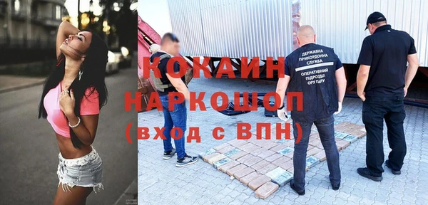 кокс Алексин